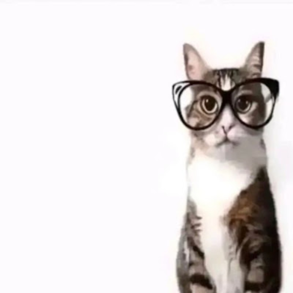 Meet your Posher, Nck